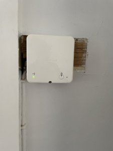 IMG_6115.jpeg