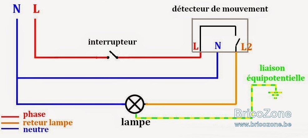 Image1.jpg