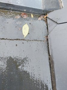 1000013366.jpg