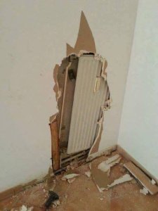 IMG_0619.jpeg