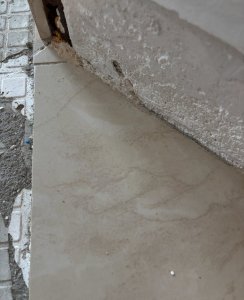 IMG_0683.jpeg