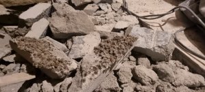 chappe granules.jpeg