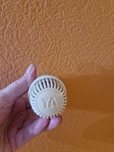 20251125_073732.jpg