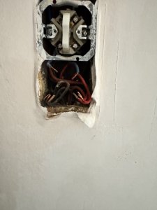 IMG_5108.jpeg IMG_5108.jpeg