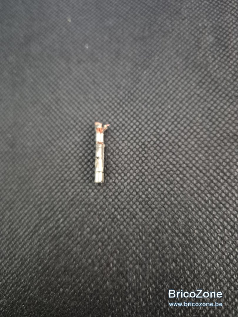 1000029043.jpg