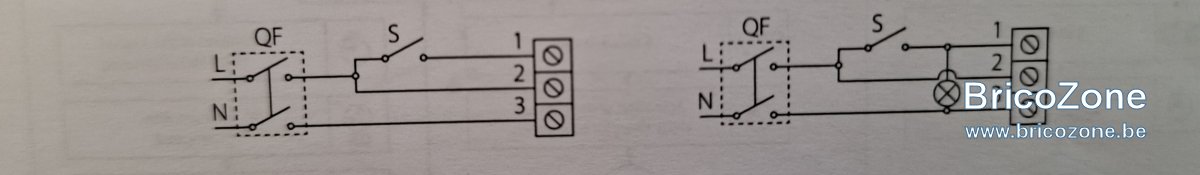 20251205_124446.jpg