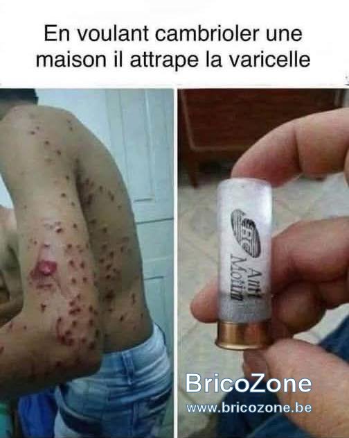 Cambrioleur Varicelle.jpg