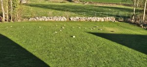 1000021229.jpg