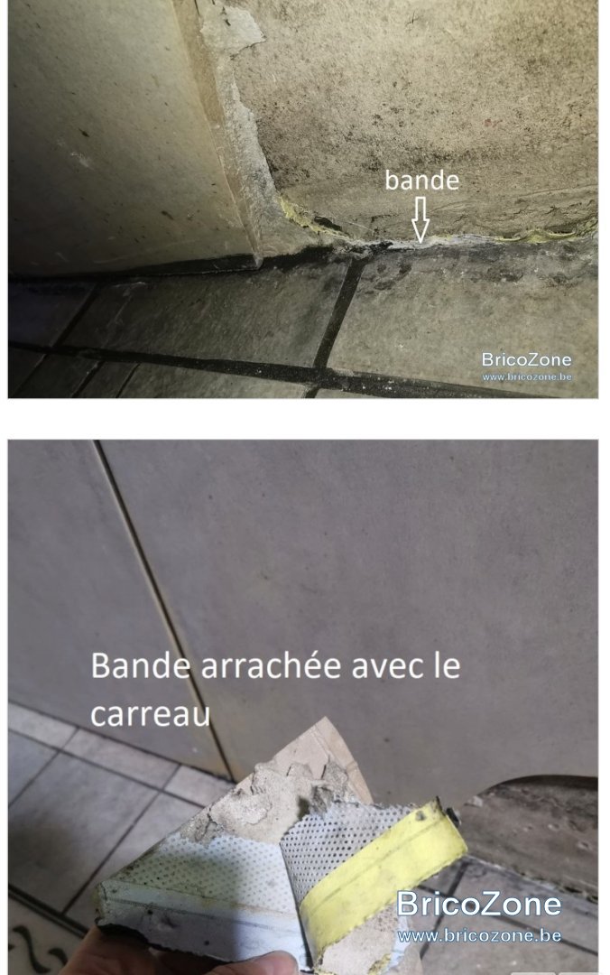 1000034990.jpg