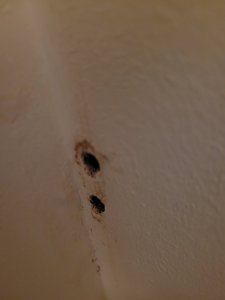 20260106_174842.jpg