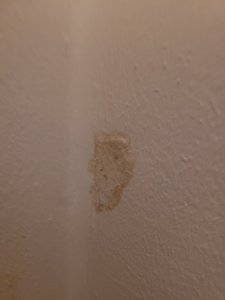 20260106_174845.jpg 20260106_174845.jpg