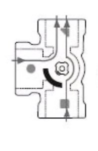 1000039103.jpg