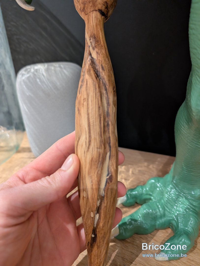 1000022889.jpg