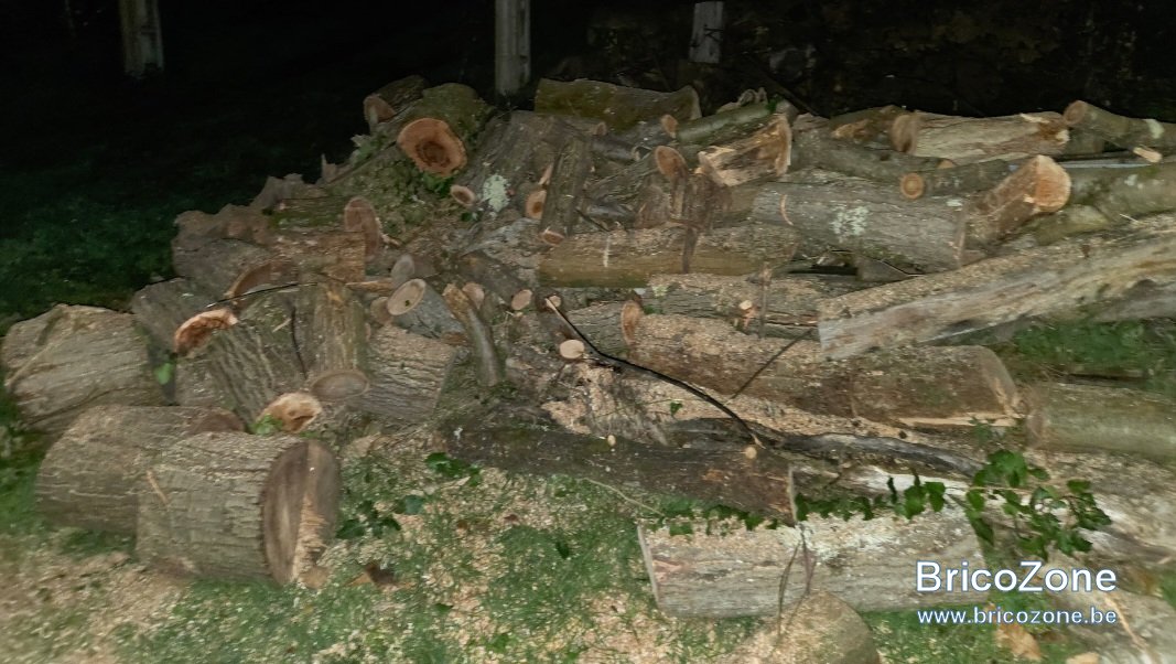 1000020106.jpg