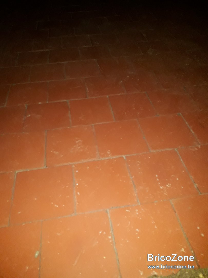 20260108_072505.jpg