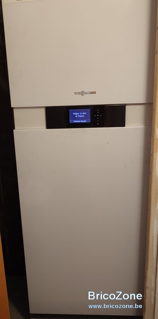 vitodens 222.jpg