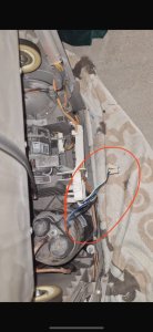 IMG_1709.jpeg