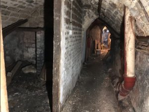 IMG_2388.jpeg