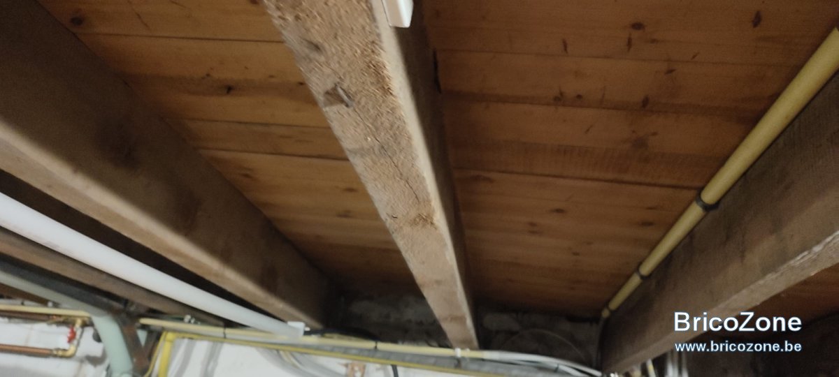 68024720-d67b-4a47-a9e0-208f0192bb08.jpeg