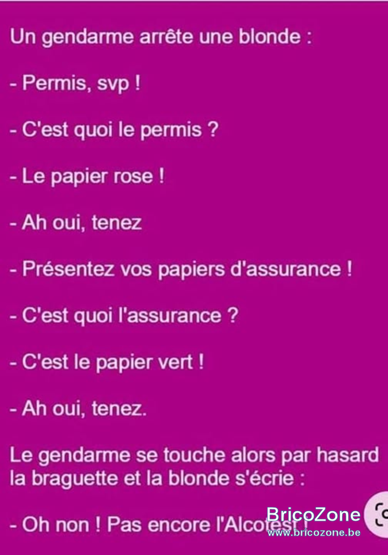 upload_2026-2-20_11-13-10.png