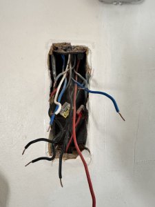IMG_5760.jpeg