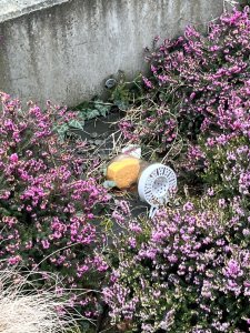 IMG_0205.jpeg
