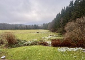 IMG_0898.jpeg