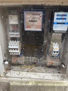 IMG_1976.jpeg