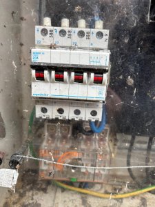 IMG_1979.jpeg