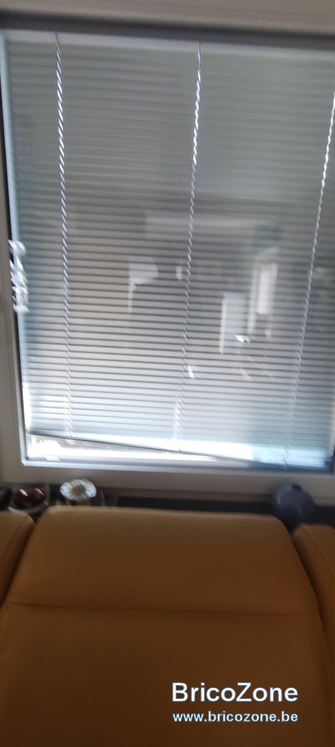 IMG_20260321_124328.jpg