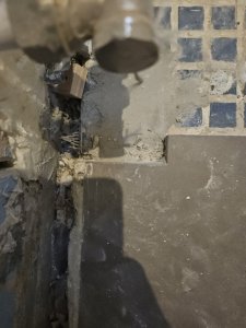 29782.jpg 29782.jpg