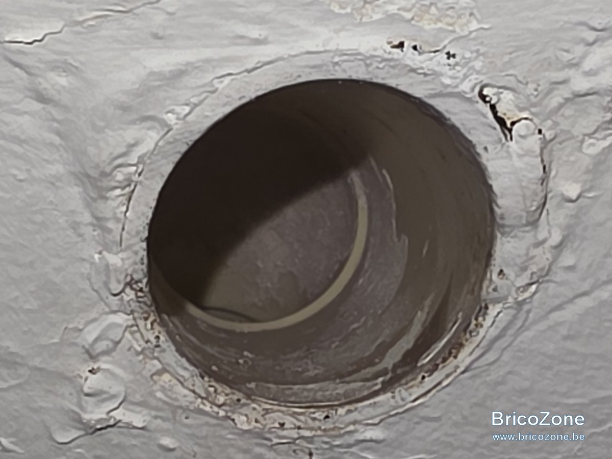 1000024931.jpg