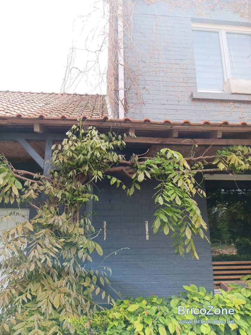 Facade_2.jpg
