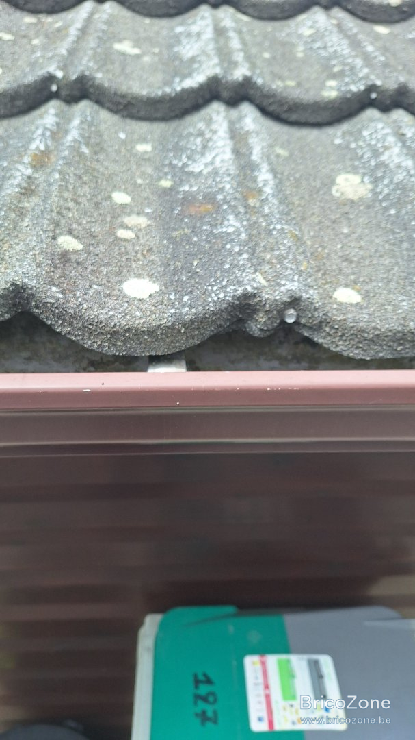 1000117242.jpg