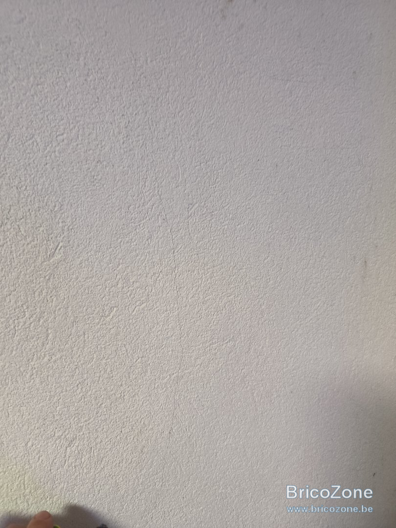 1000014141.jpg