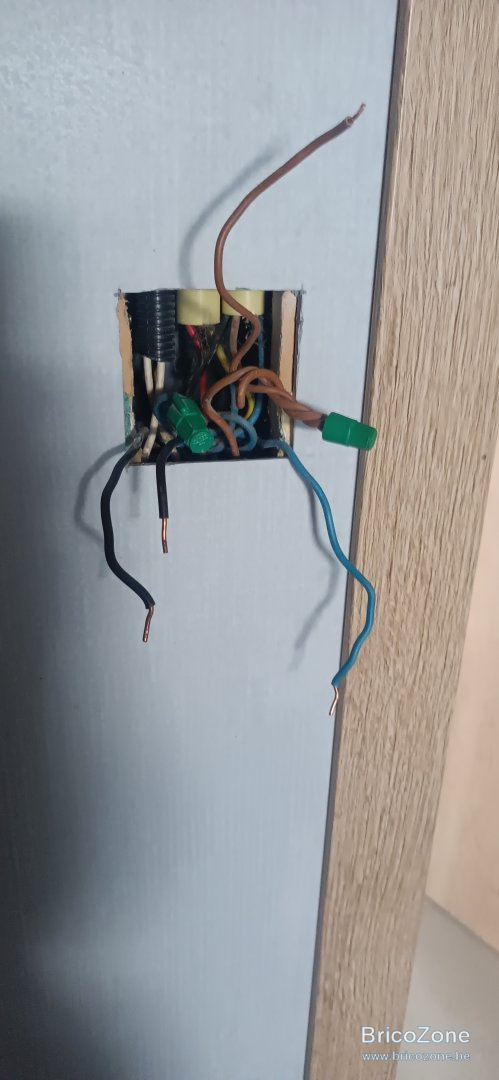 220V_Brun_Bleu.jpg