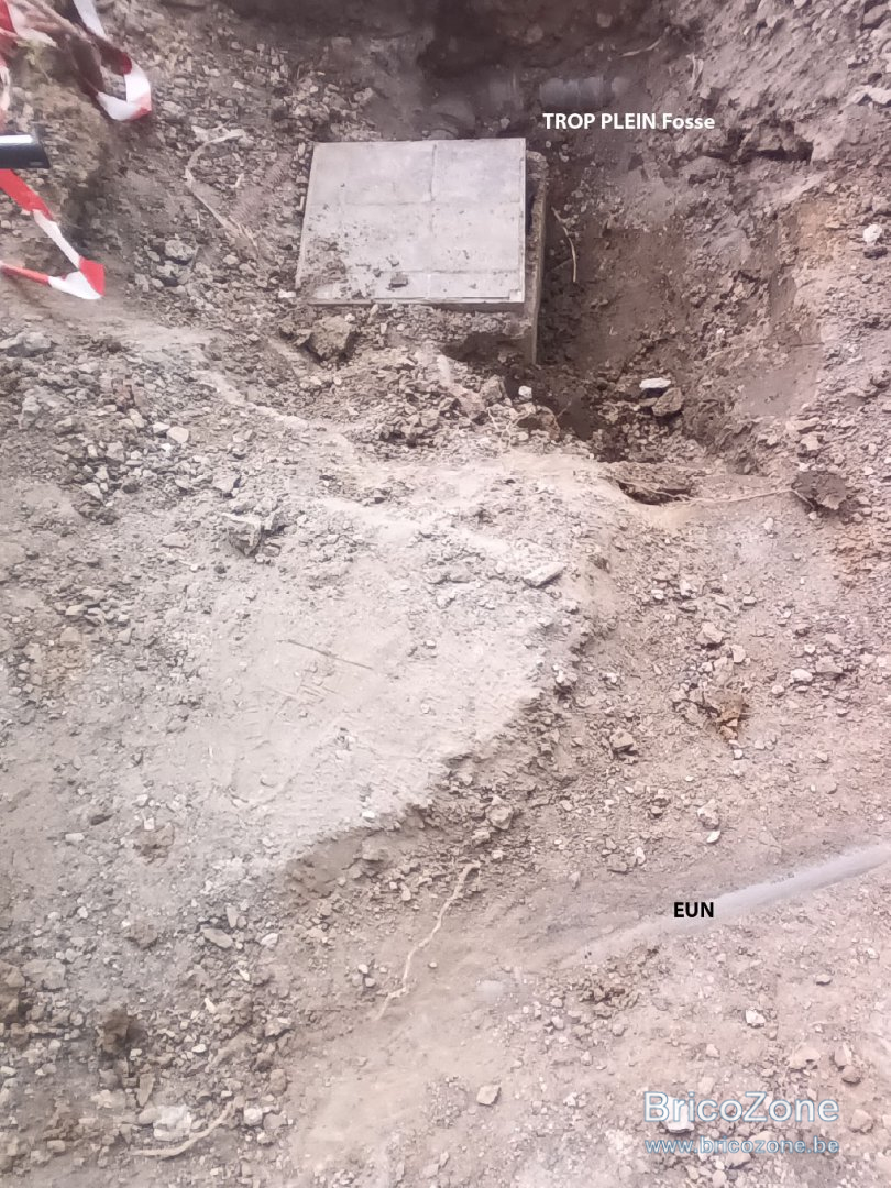 photo 2.jpg