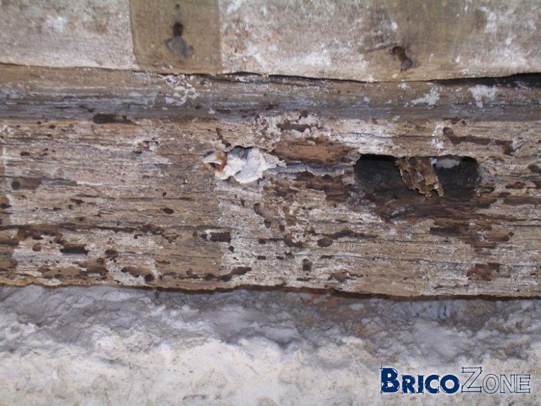 Remplacement d'un linteau pourri d'une fenêtre BricoZone — free download