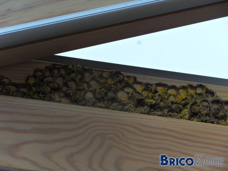 Velux Nid d'insectes — free download