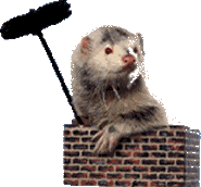 402795449059a874c2.gif