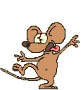 402795449062674b28.gif