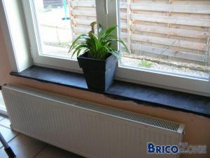 4bd938b77e410.jpg