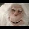 Georges le Yeti
