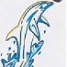 dauphin056