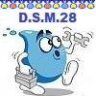 dsm28
