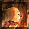 danycoco23