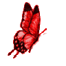 papillonrouge