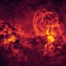 Arcadyus