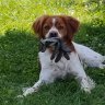 Poclux