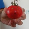 Bullebidou